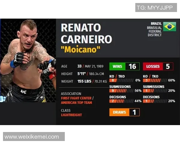 UFC凯恩与布朗的巅峰对决谁能笑到最后精彩赛事前瞻与分析